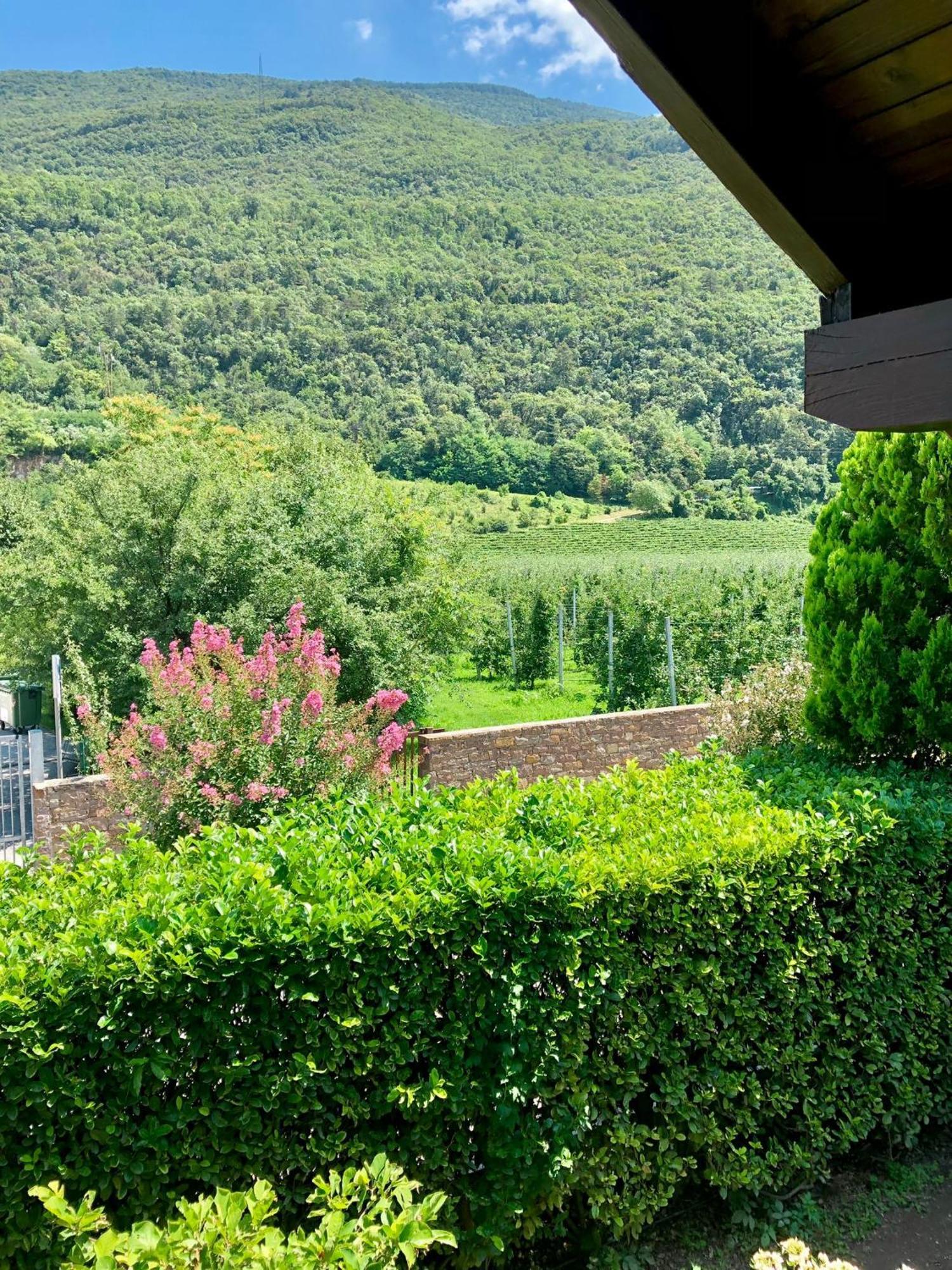 Casa Sally San Michele allʼAdige Εξωτερικό φωτογραφία